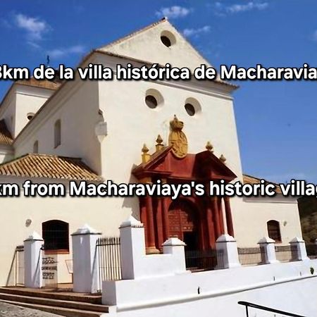 El Maurel Villa Málaga Eksteriør billede